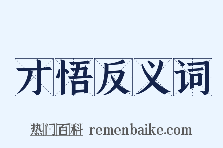 才悟反义词是什么意思的图片